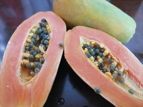 吃瓜网最新线路,畅享无界娱乐新体验