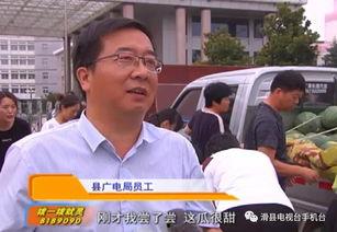 吃瓜网领导干部,领导干部的日常生活与工作点滴